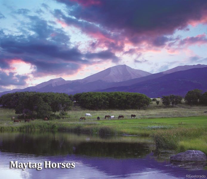 Equestrian facilities include a round pen, riding arena, barn, paddocks, and miles of private trails into adjacent national forest. Equestrian facilities include a round pen, riding arena, barn, paddocks, and miles of private trails into adjacent national forest.