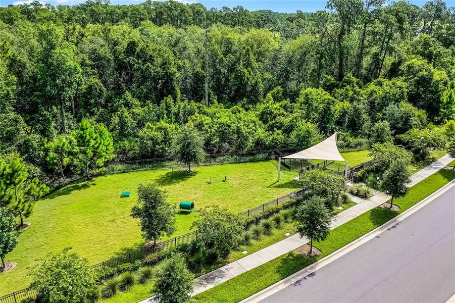 Natural landscape and outdoor views near Northlake at Ovation in Winter Garden (Image 45).