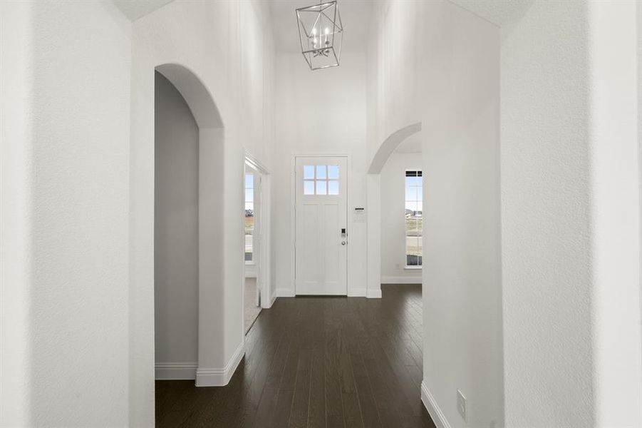 109 Golden Jackal- Entry-1 109 Golden Jackal- Entry-1