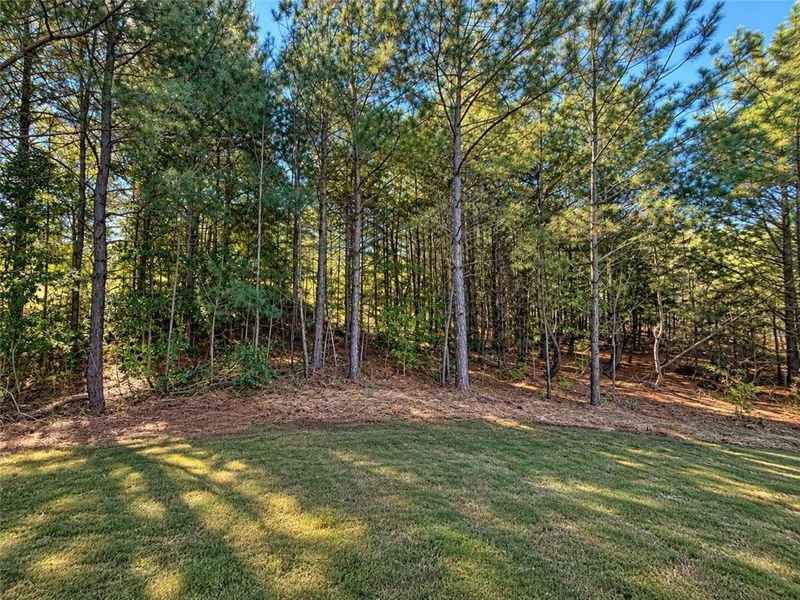Natural landscape and outdoor views near Magnolia Villas in Cornelia (Image 42).