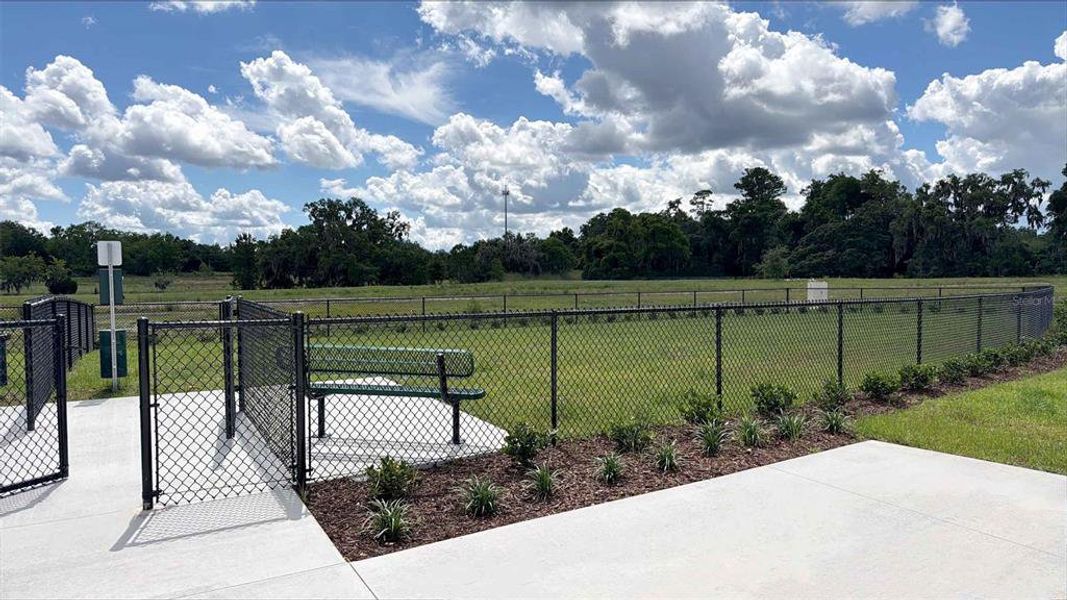 Community amenities in Buchanan Trails, Newberry (Image 12).