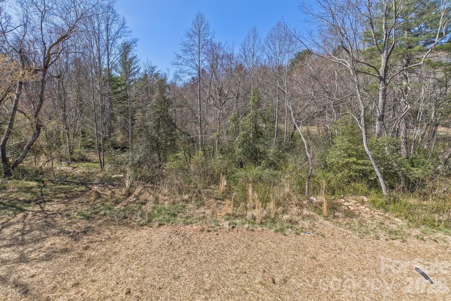 Natural landscape and outdoor views near  in Asheville (Image 16).