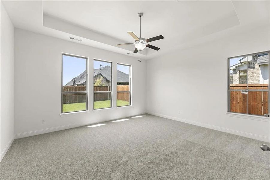 Carpeted empty room with a raised ceiling and a healthy amount of sunlight