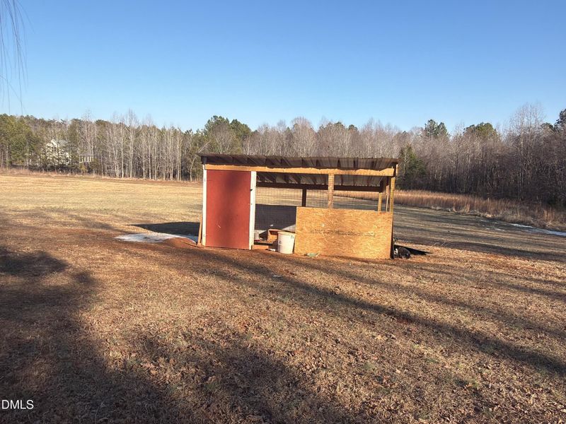 Joy_20260210_152949_119_photo