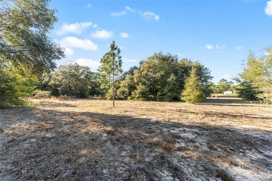 Natural landscape and outdoor views near  in Dunnellon (Image 49).