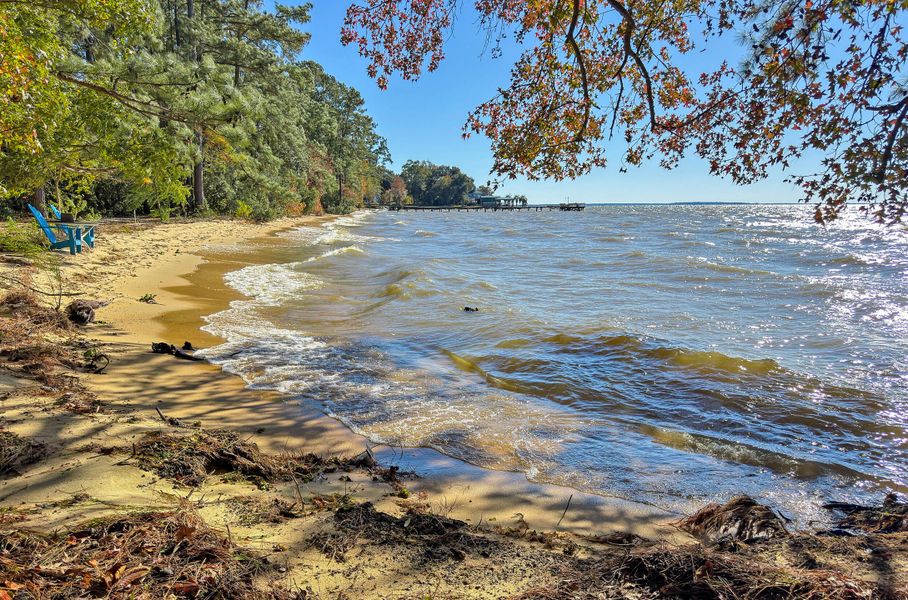 Natural landscape and outdoor views near  in Bonneau (Image 35).