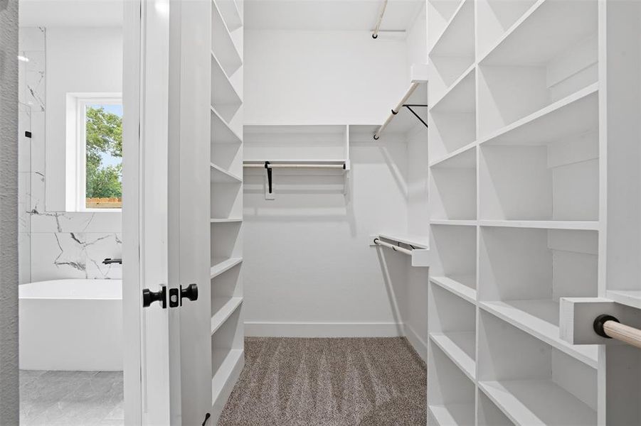 Walk-in closet featuring extensive built-in shelving, multiple hanging rods, and neutral-toned carpeting