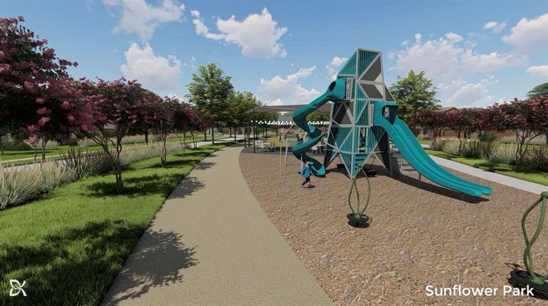 Sunflower Park Sunflower Park