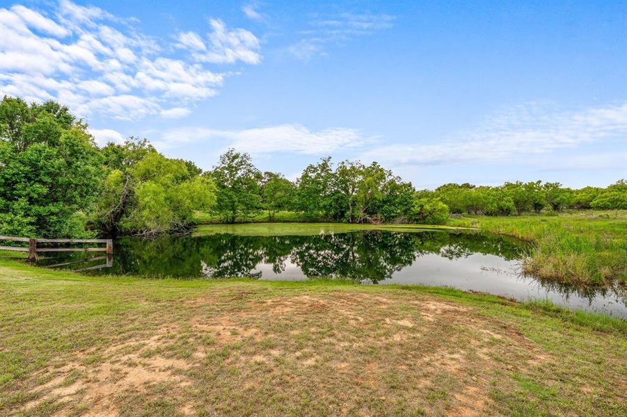 Natural landscape and outdoor views near  in Desdemona (Image 35).