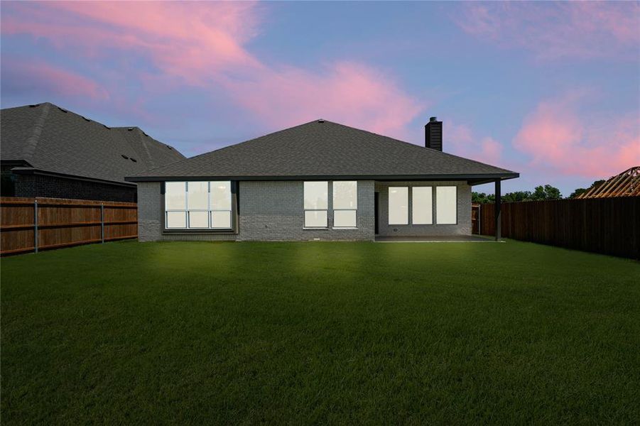 709 Seahawk- Back-2 709 Seahawk- Back-2