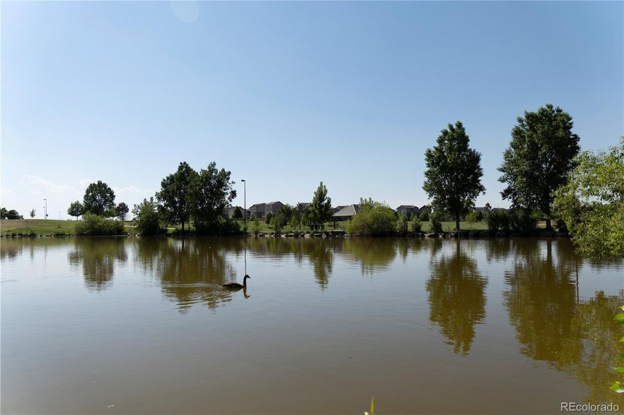 Natural landscape and outdoor views near  in Aurora (Image 40).