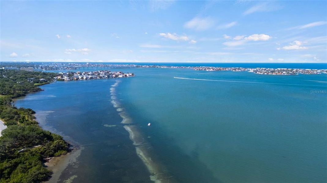 Natural landscape and outdoor views near  in Belleair (Image 63).