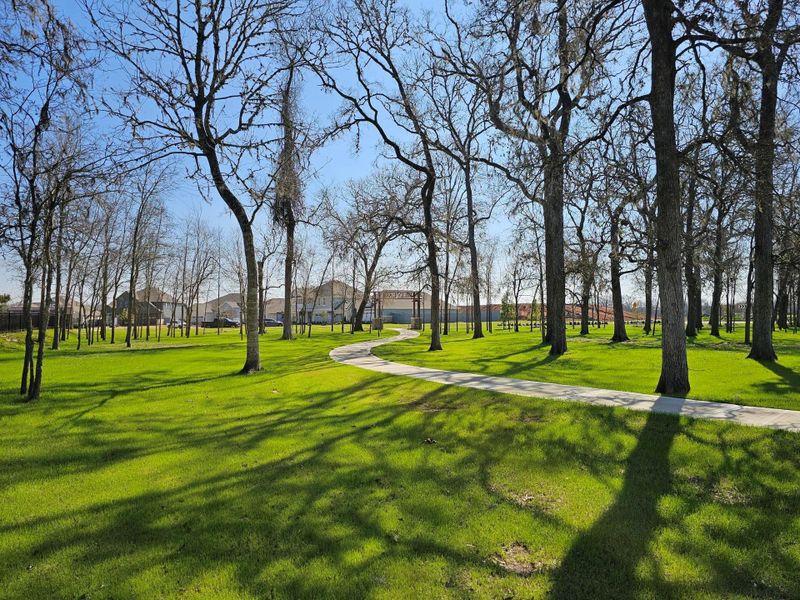 Natural landscape and outdoor views near Fulshear Lakes in Fulshear (Image 20). Natural landscape and outdoor views near Fulshear Lakes in Fulshear (Image 20).