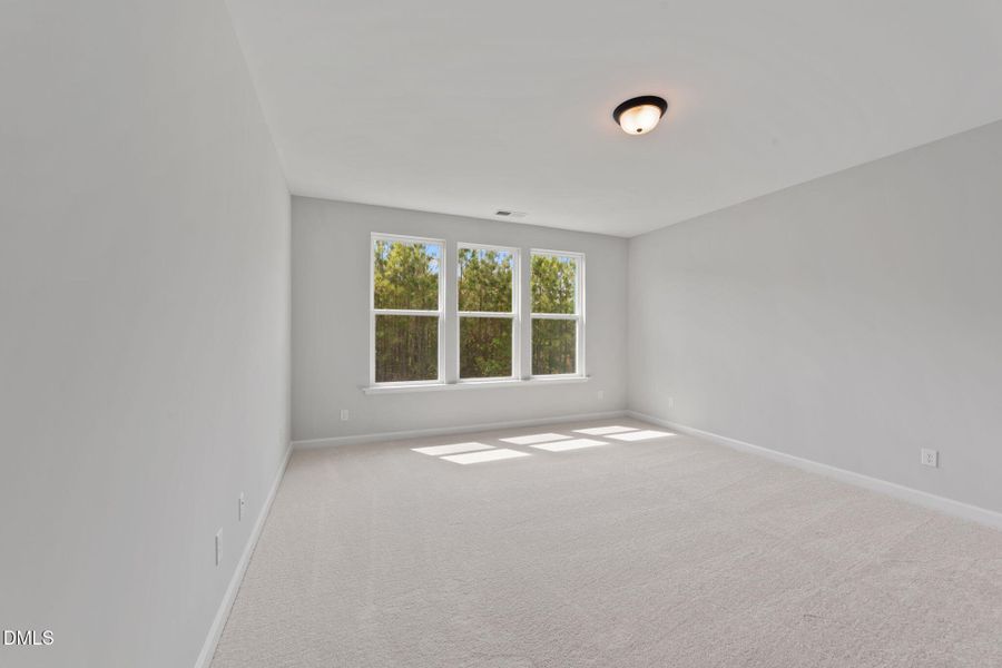 38-web-or-mls-VB4A8832