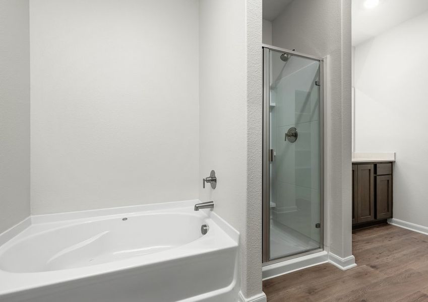 The master bathroom has a glass, walk-in shower and a garden tub. The master bathroom has a glass, walk-in shower and a garden tub.