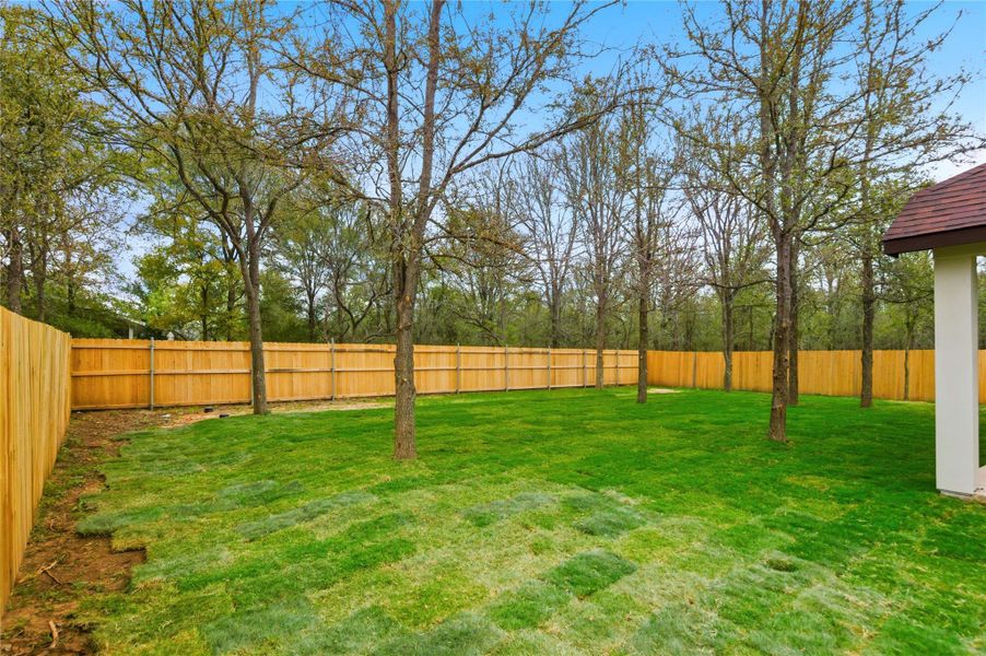View of fenced backyard
