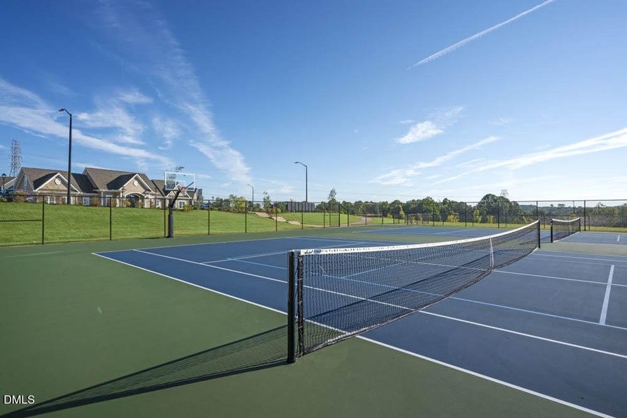 collins-ridge-003 collins-ridge-003