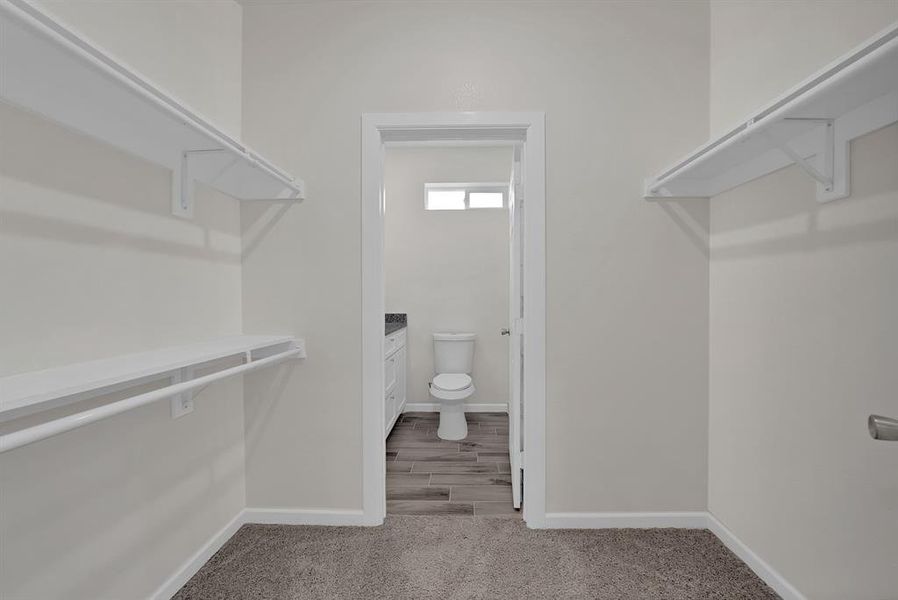 Spacious closet with carpet flooring