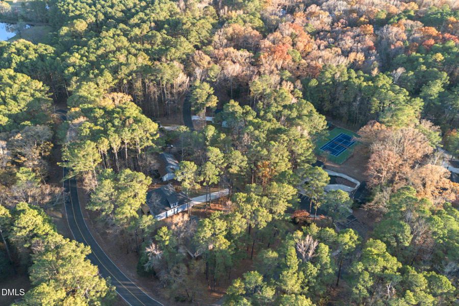 36-web-or-mls-DJI_0161