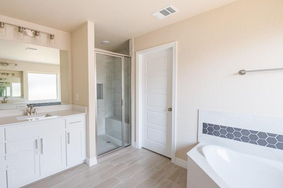 Bathroom with a stall shower, vanity, a bath, and wood tiled floors Bathroom with a stall shower, vanity, a bath, and wood tiled floors