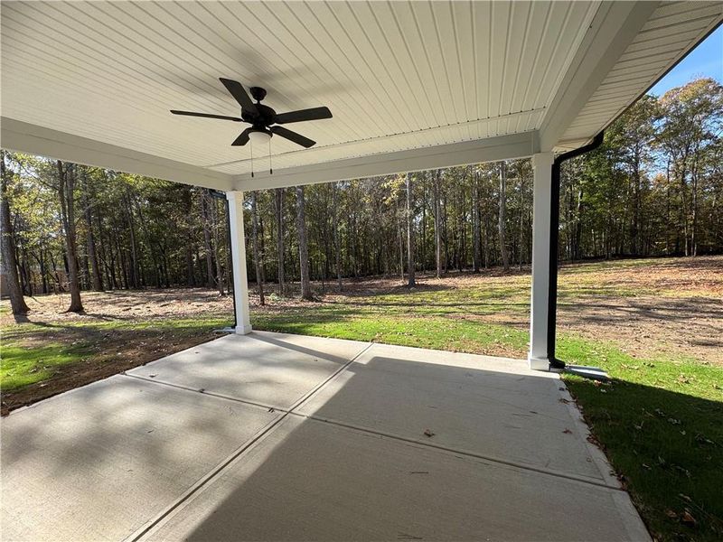 Exterior details and patio area of a home in The Fields of Walnut Creek, Pendergrass (Image 2).