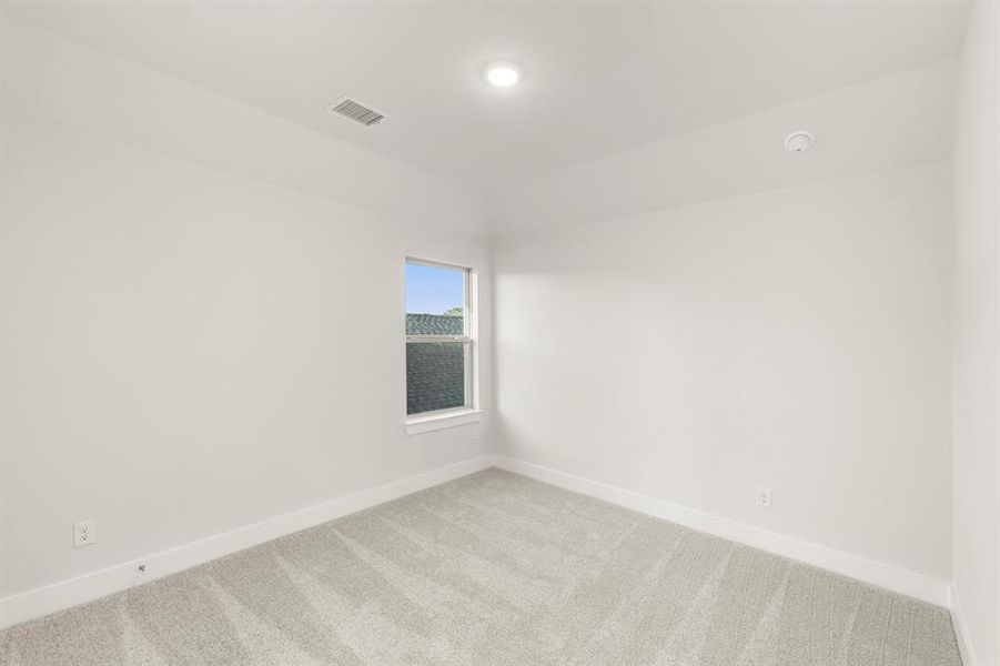 24. 3124 Lenten Rose - Bed 4