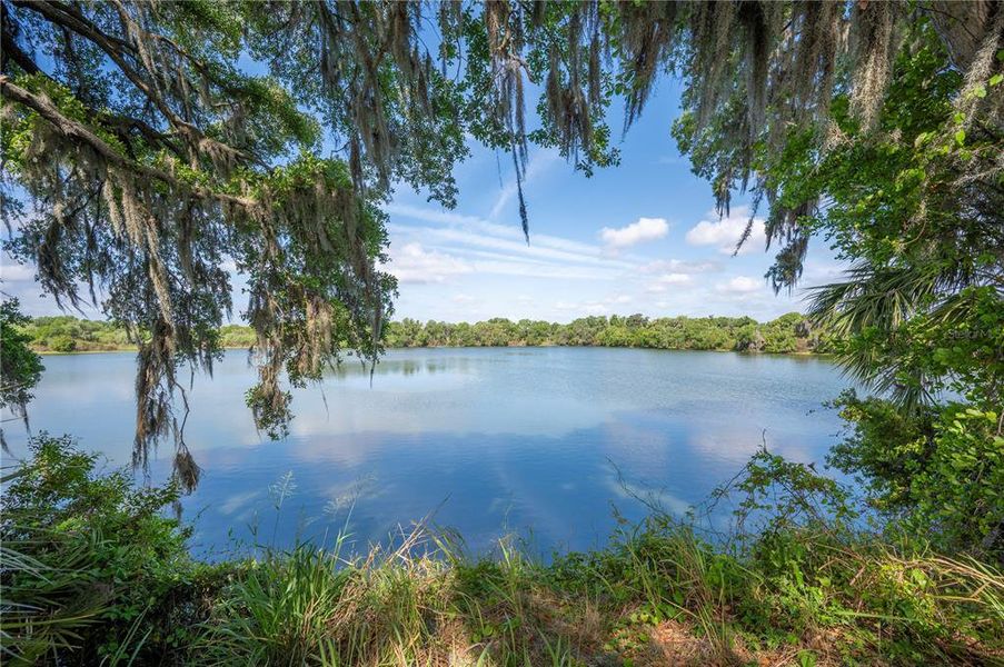 Natural landscape and outdoor views near  in Mulberry (Image 48).