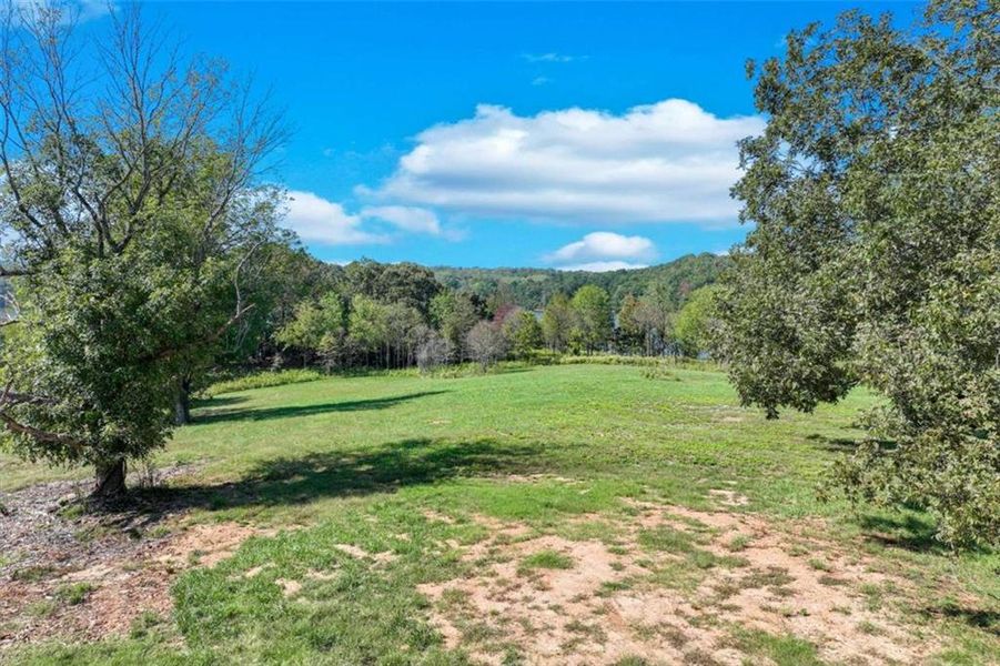 Natural landscape and outdoor views near  in Gainesville (Image 58).