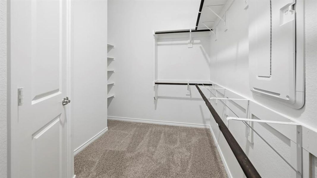 Spacious closet with light carpet and electric panel