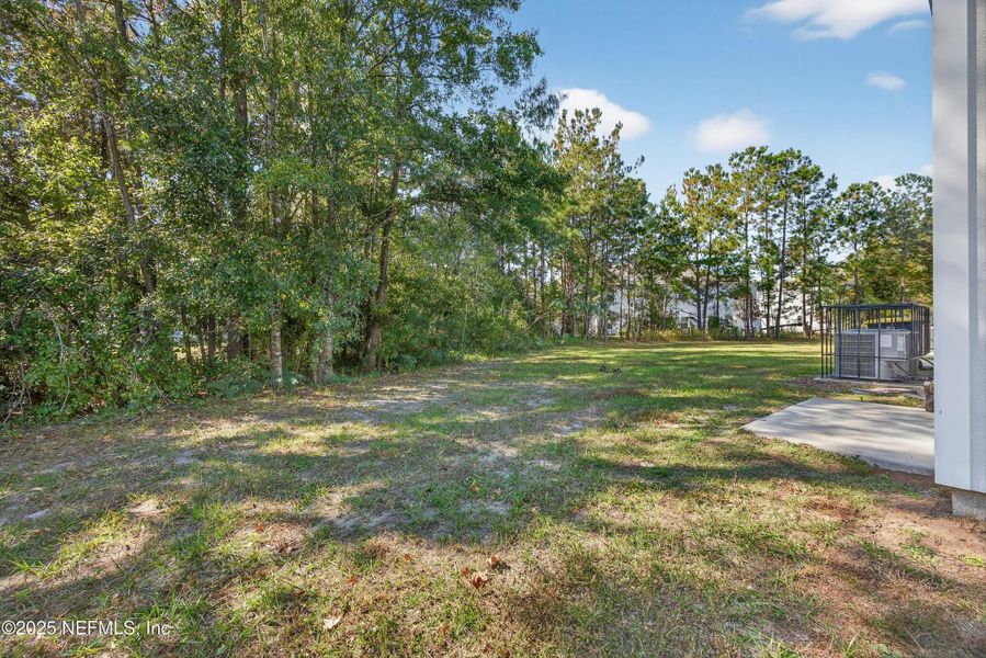 Natural landscape and outdoor views near  in Jacksonville (Image 23).