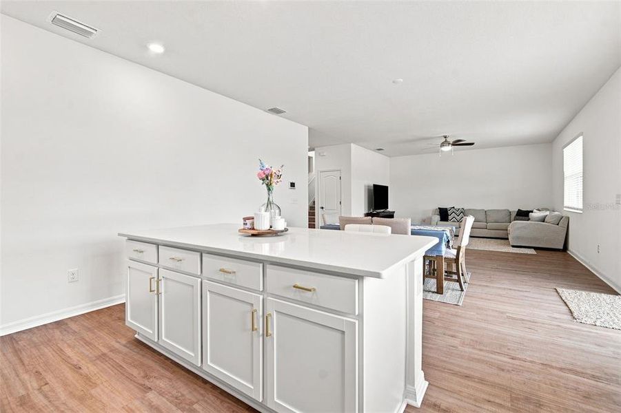 Furnished interior view inside a new home in , Land O' Lakes (Image 7).