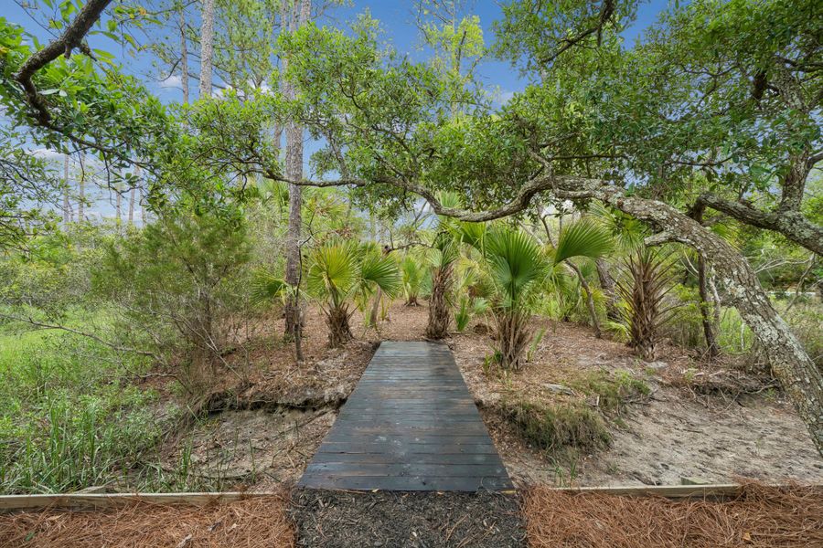 Natural landscape and outdoor views near  in Folly Beach (Image 90).