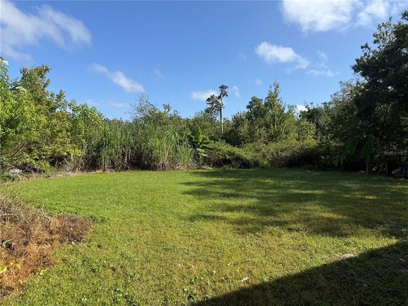 Natural landscape and outdoor views near  in Lake Wales (Image 7).