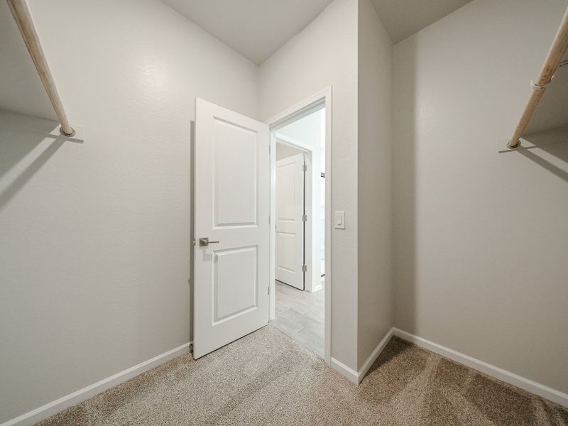 A hallway with white doors. A hallway with white doors.