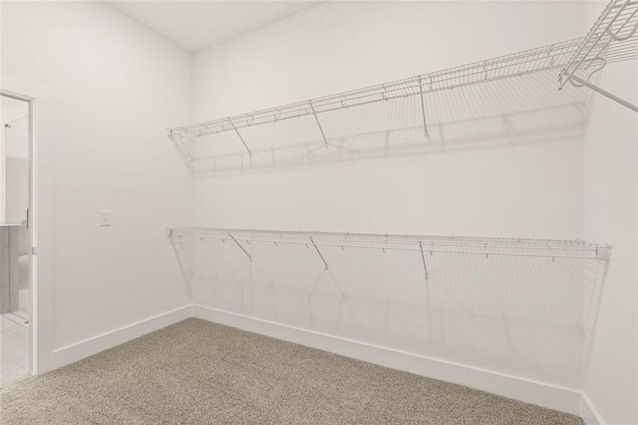 Spacious, unfurnished interior of a new home in , Gainesville (Image 28).