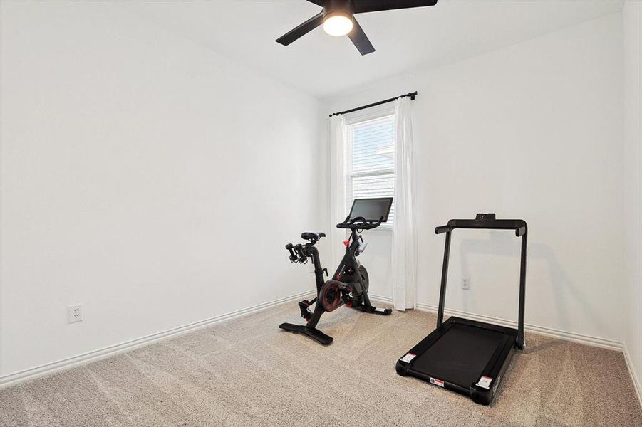 Workout room featuring carpet flooring and ceiling fan