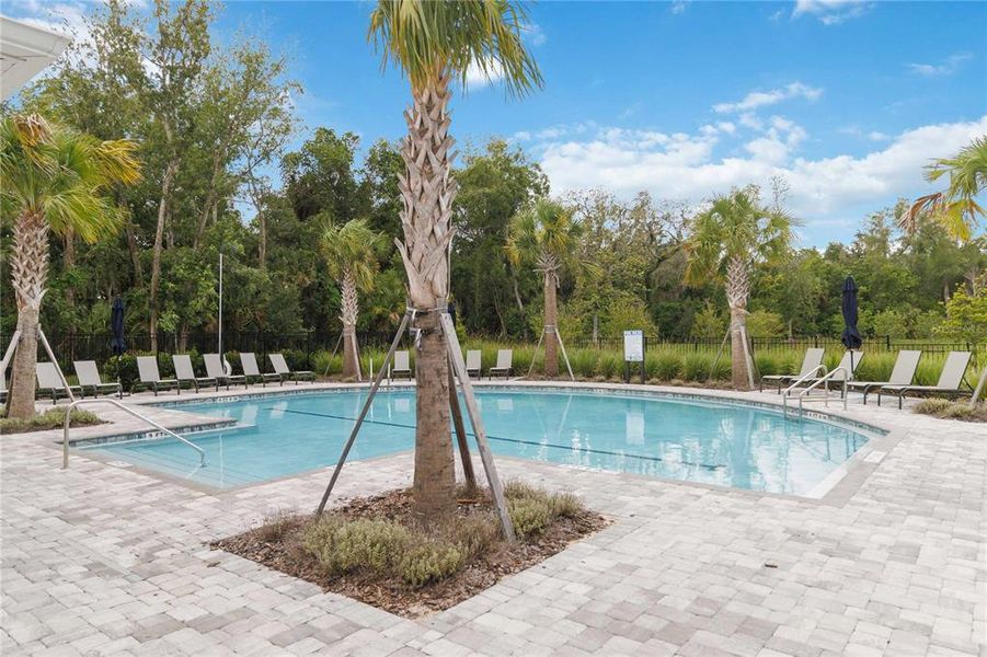 Community amenities in , Winter Springs (Image 26). Community amenities in , Winter Springs (Image 26).