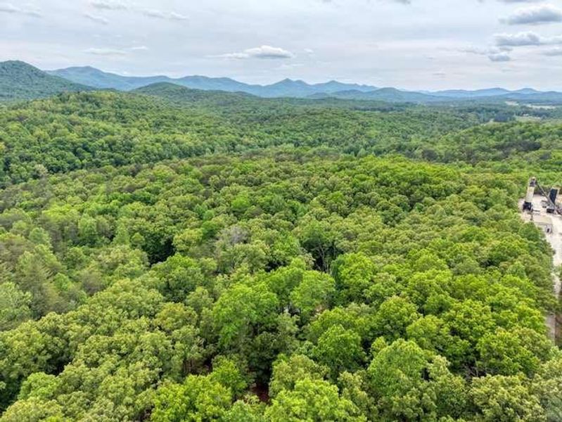 Natural landscape and outdoor views near  in Blairsville (Image 31).