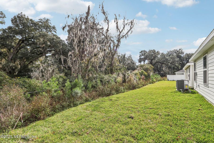 Natural landscape and outdoor views near Kings Landing in Jacksonville (Image 35).
