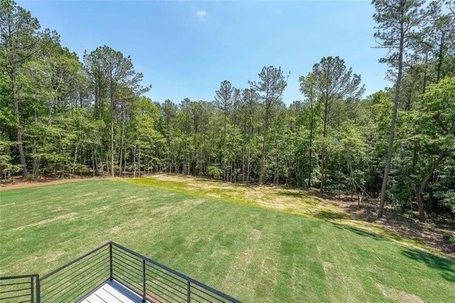 Natural landscape and outdoor views near  in Buford (Image 35).