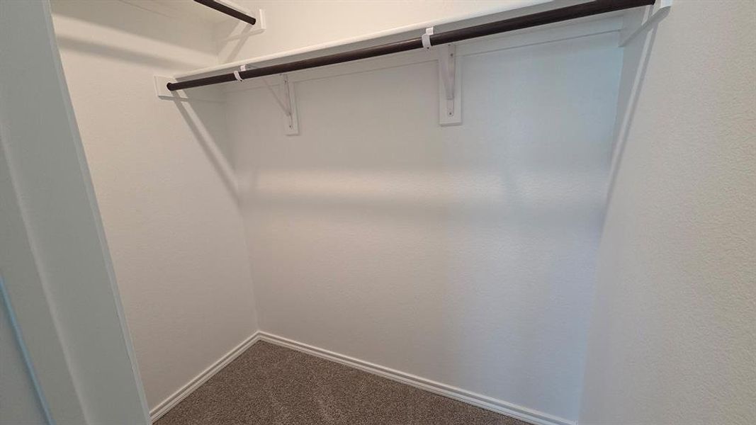 Walk-in closet featuring white painted walls, a built-in shelf, two dark-toned hanging rods, and gray carpet flooring Walk-in closet featuring white painted walls, a built-in shelf, two dark-toned hanging rods, and gray carpet flooring