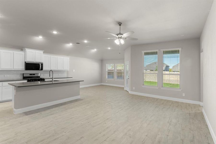 08. 141 Whistling Duck - Family