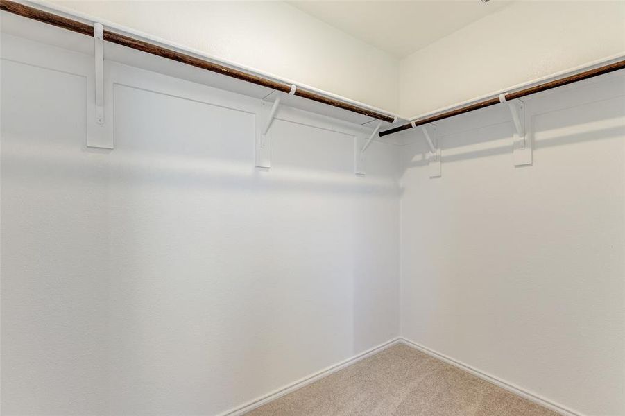 Spacious closet featuring carpet flooring