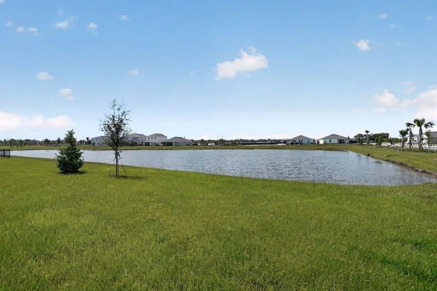 Natural landscape and outdoor views near Firethorn in Parrish (Image 33).