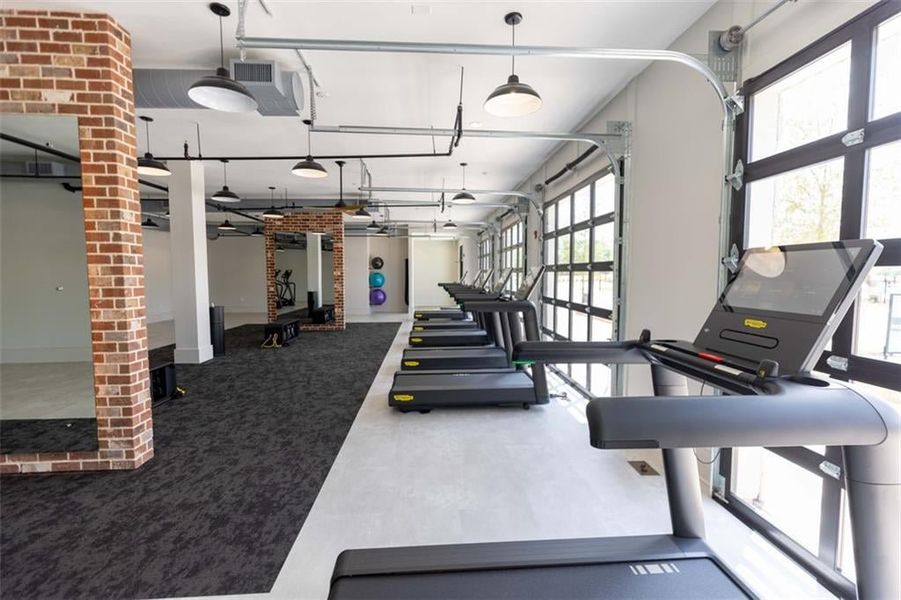 Gym with healthy amount of natural light, a garage, and carpet flooring