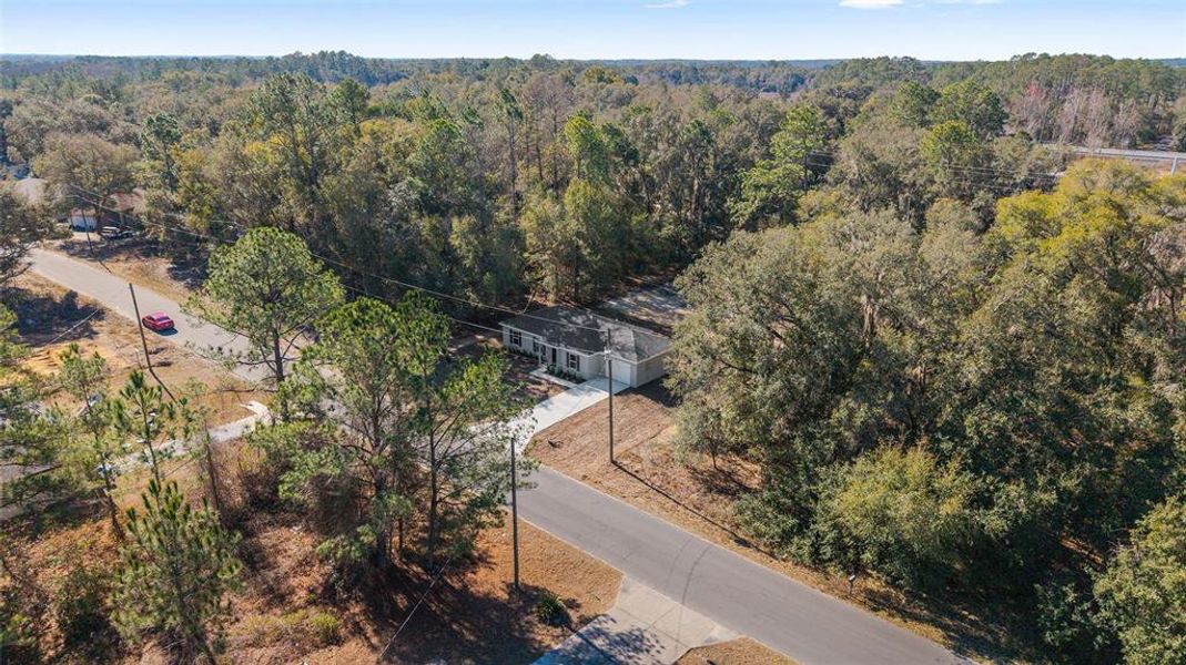 Natural landscape and outdoor views near  in Ocala (Image 38).