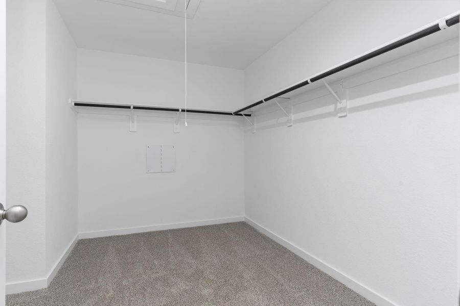 Representative Photo