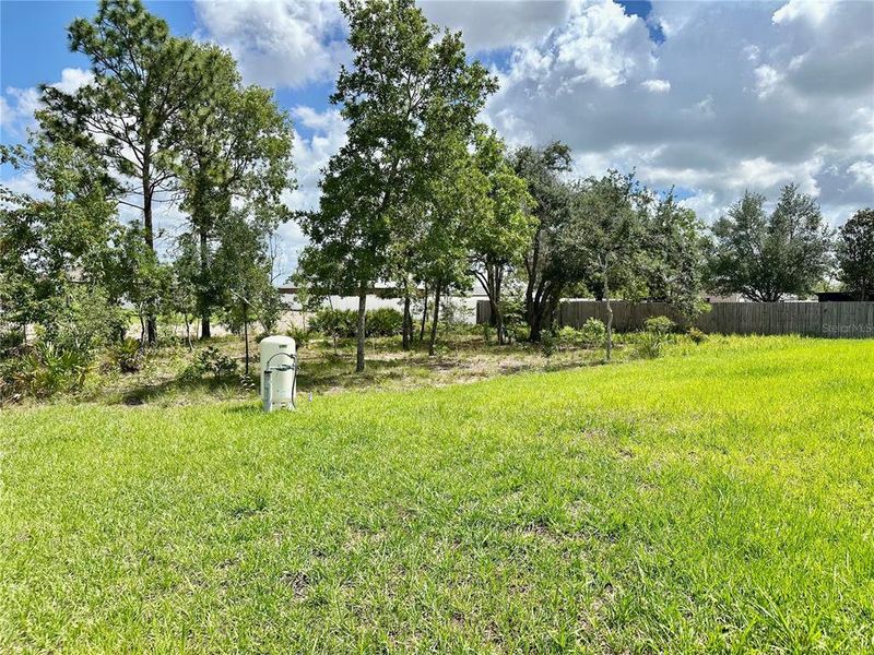 Natural landscape and outdoor views near  in Weeki Wachee (Image 66).