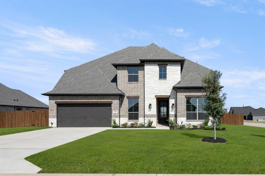 116 Grey wolf- Front-2283 116 Grey wolf- Front-2283