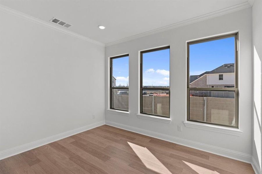 DAL_Painted Tree_Mineola_3916 Attwater Street (36)